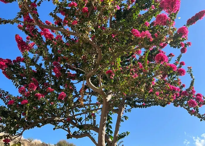 דירה Mountain View -