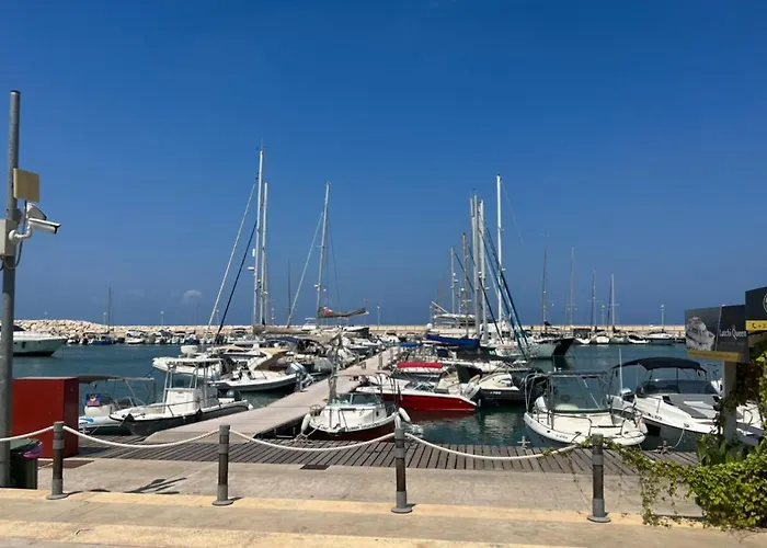 Mountain View - Polis