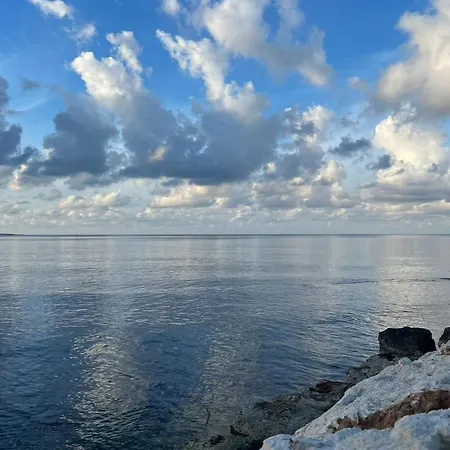 Mountain View - Polis