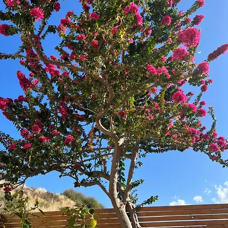 Apartment Mountain View -